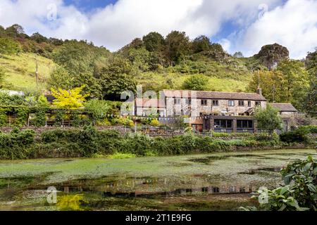 Ammira Cheddar Rising nel villaggio di Cheddar, Somerset, Inghilterra Foto Stock