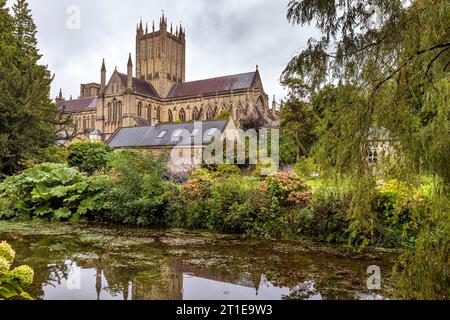 Wells Cathedral dai giardini del Bishop's Palace, Wells, Somerset, Inghilterra, Regno Unito Foto Stock
