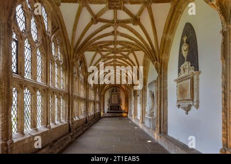 Parte dei magnifici chiostri costruiti intorno al 1500 nella cattedrale di Wells nel Somerset Foto Stock
