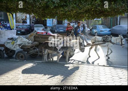 EGITTO, Asyut, centro città, raccolta rifiuti con carrello d'asino / ÄGYPTEN, Assiut, Stadtzentrum, Müllsammler mit Eselskarren Foto Stock