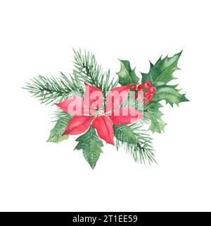 Composizione delle piante invernali. Rami di pino, pianta di agnello con bacche rosse, poinsettia. Simboli del nuovo anno e del Natale. Mano acquerello Foto Stock