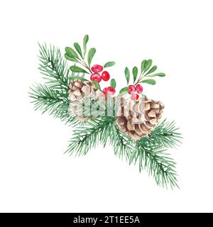 Composizione delle piante invernali. Rami di pino con cono, mirtillo, ramo di mirtilli rossi con foglie verdi e bacche rosse. Simboli del nuovo anno e. Foto Stock