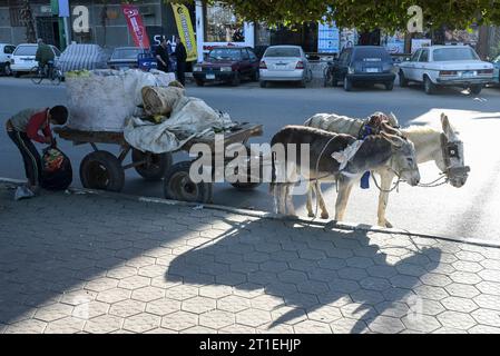 Egitto, raccoglitrice di stracci EGITTO, Asyut, centro città, raccoglitrice di rifiuti con carrello d'asino *** ÄGYPTEN, Assiut, Stadtzentrum, Müllsammler mit Eselskarren Asyut Egypt Credit: Imago/Alamy Live News Foto Stock