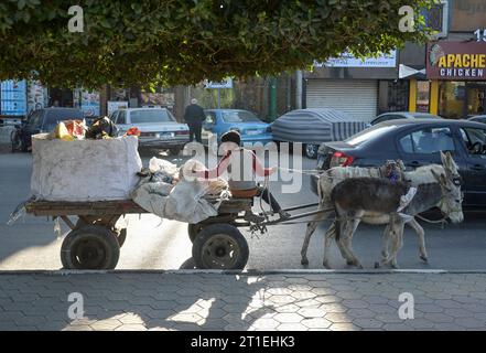 Egitto, raccoglitrice di stracci EGITTO, Asyut, centro città, raccoglitrice di rifiuti con carrello d'asino *** ÄGYPTEN, Assiut, Stadtzentrum, Müllsammler mit Eselskarren Asyut Egypt Credit: Imago/Alamy Live News Foto Stock