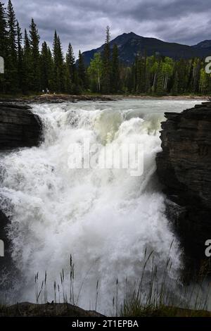 Athabasca Falls è una cascata del Jasper National Park, Alberta, Canada. Foto Stock