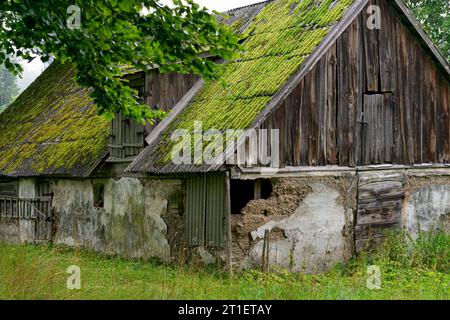Un vecchio fienile con un tetto coperto di muschio Foto Stock