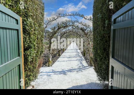 Un arbour realizzato con diverse varietà di alberi di mele nel Kitchen Garden presso i Lost Gardens di Heligan Cornovaglia aprile 2021 Foto Stock