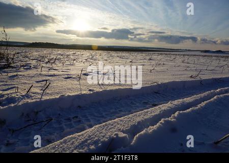 Un paesaggio innevato nel nord della Germania con un sentiero sulla neve Foto Stock