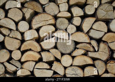 Una vista laterale di una pila di legna da ardere Foto Stock