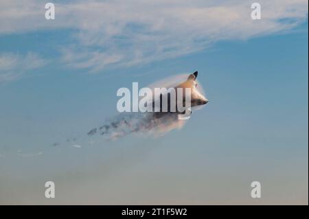 Un F-22 Raptor decolla durante la William Tell Air-to-Air Competition del 2023 a Savannah, GA, 11 settembre 2023. Foto di Zachary Rufus Foto Stock