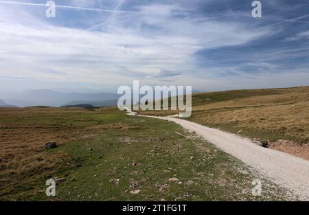 Rittnerhorn, Italien, Südtirol 11. Oktober 2023 Hier der Blick auf das Rittner Horn, Rittnerhorn, einem Gipfel oberhalb des Ritten, Hochplateau, Gemeinde Barbian, Wanderweg zum Gipfel, wandern, spazieren, Ausblick, Panorama, Bergsteigen, Alpin, Tourismus *** Rittnerhorn, Italia, alto Adige 11 ottobre 2023 qui la vista del Corno Rittner, Rittnerhorn, una vetta sopra il Ritten, altopiano, comune Barbiano, sentiero escursionistico fino alla vetta, trekking, passeggiate, vista, panorama, alpinismo, alpino, turismo crediti: Imago/Alamy Live News Foto Stock