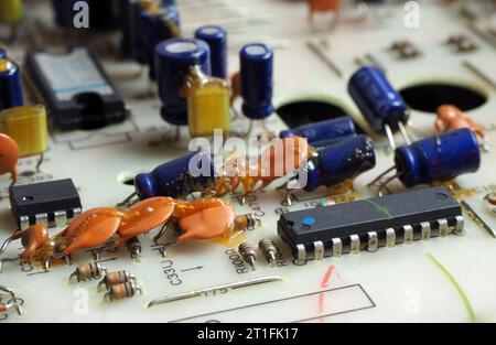 Componenti elettronici assemblati sulla scheda a circuito stampato. Circuiti integrati, resistori e condensatori. Foto Stock