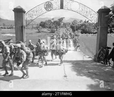 La Allied rioccupazione di Hong Kong, 1945 truppe giapponesi catturati nel Fan Ling area essendo hanno marciato lontano da prigionieri nei campi di prigionia. Foto Stock