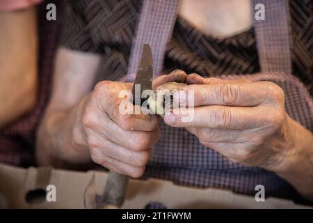 Le mani di una donna anziana che fa il lavoro domestico di pelare le patate. Mani anziane con problemi articolari, osteoartrite. Foto Stock