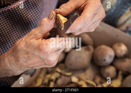 Le mani di una donna anziana che fa il lavoro domestico di pelare le patate. Mani anziane con problemi articolari, osteoartrite. Foto Stock