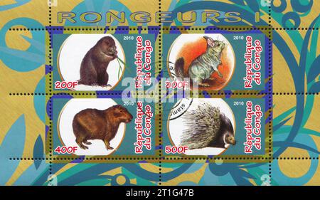CONGO - CIRCA 2010: Francobollo stampato dal Congo, mostra animalss, circa 2010 Foto Stock