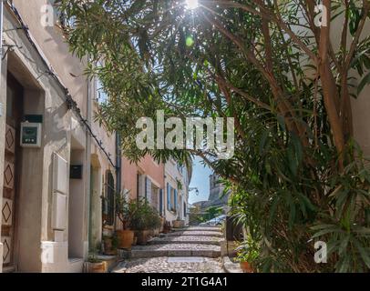 Stretta strada in pendenza con vecchie case colorate nell'antica città di Arles in Provenza, nel sud della Francia. La luce del sole splende attraverso un albero. Foto Stock