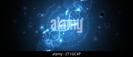 Modello scientifico, sfondo o banner con molecole di DNA. Illustrazione vettoriale. Illustrazione Vettoriale