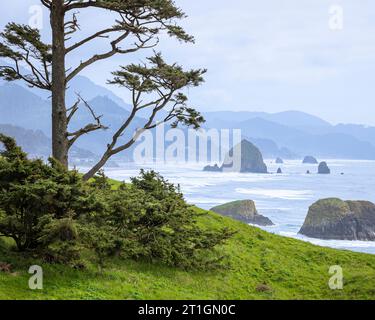 Cannon Beach vista dall'Ecola State Park sulla costa dell'Oregon, Stati Uniti. Foto Stock