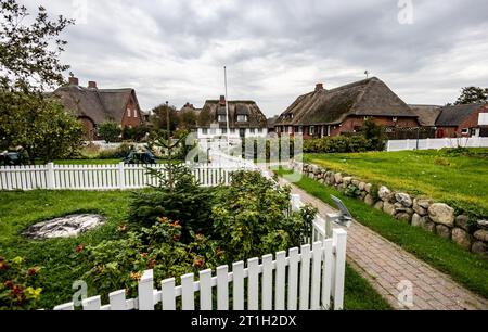 PRODUZIONE - 29 settembre 2023, Schleswig-Holstein, Hallig Langeneß: Le nuvole passano sopra l'Hallig Oland, al centro della quale le case sono delimitate da quote. Foto: Axel Heimken/dpa Foto Stock