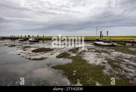 PRODUZIONE - 29 settembre 2023, Schleswig-Holstein, Hallig Langeneß: Le navi sono ormeggiate nel porto di Hallig Oland con la bassa marea. Foto: Axel Heimken/dpa Foto Stock