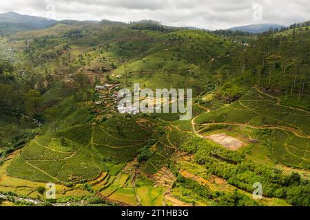Vista dall'alto delle piantagioni di tè sulle colline delle montagne. Paesaggio della tenuta del tè. Nuwara Eliya, Sri Lanka. Foto Stock
