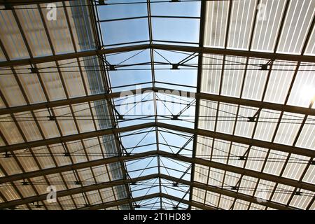 Stazione ferroviaria Paris gare du nord Glass Roof Foto Stock