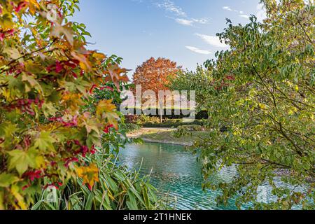 Il giardino giapponese di Digione nei colori autunnali. Le jardin japonais à Digione aux couleurs de l'automne. Foto Stock