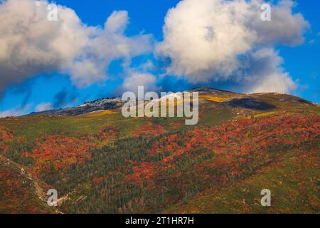 Questa è una vista delle Wasatch Mountains a est di Farmington, Utah, con colori autunnali: Rossi più bassi, gialli più alti e una spolverata di neve in cima. Foto Stock