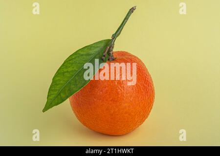 Tangerini o clementine con foglia verde su sfondo giallo primo piano Foto Stock