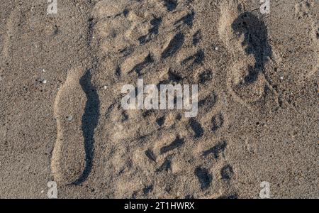 Tracce di pneumatici e impronte sulla sabbia del mare in autunno Foto Stock