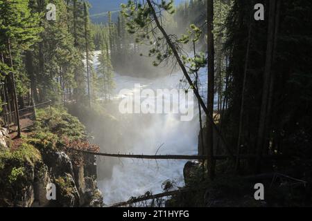 Sunwapta superiore cade nel Parco Nazionale di Jasper, Canada. L'acqua proviene dal Ghiacciaio Athabasca. Lunga esposizione. Foto Stock