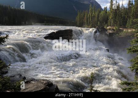Sunwapta superiore cade nel Parco Nazionale di Jasper, Canada. L'acqua proviene dal Ghiacciaio Athabasca. Lunga esposizione. Foto Stock