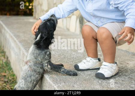 Cane, animale e mano del bambino con animale domestico all'esterno di una casa per un divertente allenamento dei cuccioli, cura degli animali domestici all'aperto e aria fresca. Supporto amoroso.Ritratto di inglese Foto Stock