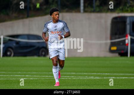 Swansea, Galles. 7 ottobre 2023. Kristian Fletcher di Swansea City durante la partita di Premier League Cup tra Swansea City Under 21 e Brighton & Hove Albion Under 21 alla Swansea City Academy di Swansea, Galles, Regno Unito, il 7 ottobre 2023. Crediti: Duncan Thomas/Majestic Media. Foto Stock