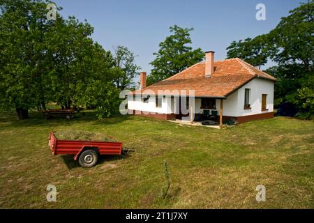 In Boerderij Hortobagy; Agriturismo a Hortobagy Foto Stock