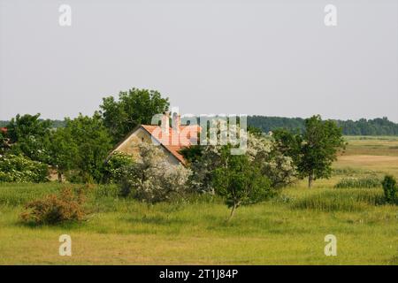 In Boerderij Hortobagy; Agriturismo a Hortobagy Foto Stock