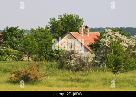 In Boerderij Hortobagy; Agriturismo a Hortobagy Foto Stock