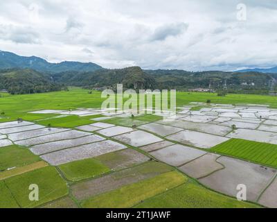 Vista aerea della risaia, Riau, Sumatra, Indonesia. Foto Stock