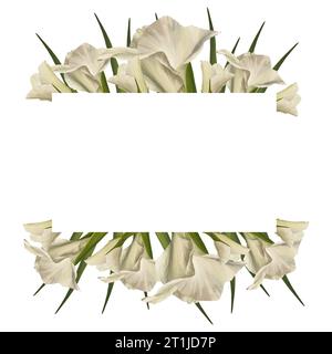 Gladioli acquerelli. Banner floreale, cornice con fiori bianchi, gemme e foglie dipinte a mano illustrazione isolata su sfondo bianco. Botanico Foto Stock