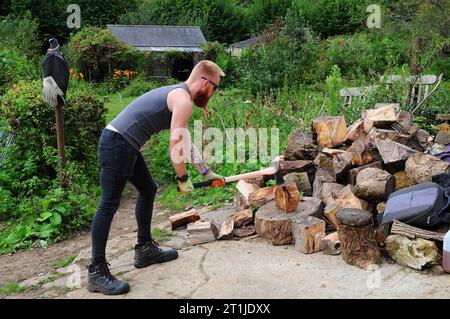 Spaccare i tronchi in preparazione per l'inverno. Foto Stock