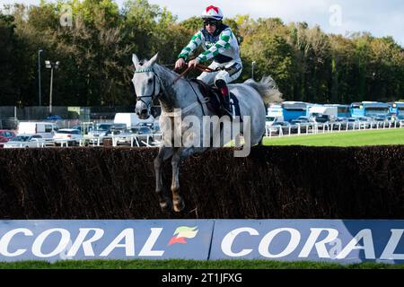 Chepstow, Galles, Regno Unito. Sabato 14 ottobre 2023. Rubato argento e fantino Sam Twiston-Davies vincono il Native River handicap Steeple Chase per l'allenatore Sam Thomas e il proprietario Walters Plant Hire e Potter Group. Credito immagini equine JTW / Alamy Live News Foto Stock