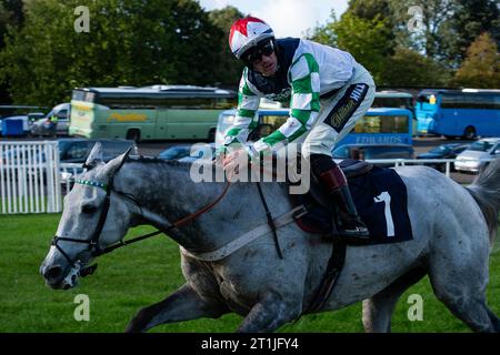 Chepstow, Galles, Regno Unito. Sabato 14 ottobre 2023. Rubato argento e fantino Sam Twiston-Davies vincono il Native River handicap Steeple Chase per l'allenatore Sam Thomas e il proprietario Walters Plant Hire e Potter Group. Credito immagini equine JTW / Alamy Live News Foto Stock