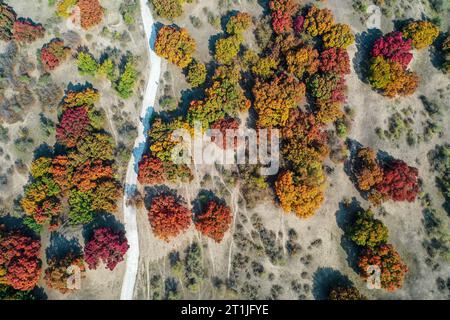 Hohhot. 14 ottobre 2023. Questa foto aerea scattata il 14 ottobre 2023 mostra lo scenario autunnale di un parco forestale nella bandiera posteriore dell'ala sinistra di Horqin della città di Tongliao, nella regione autonoma della Mongolia interna della Cina settentrionale. Crediti: Lian Zhen/Xinhua/Alamy Live News Foto Stock