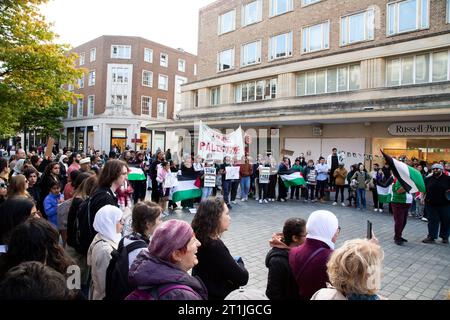 Protesta per la Palestina libera centro di Exeter - sezione trasversale del circolo di protesta Foto Stock