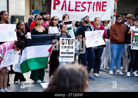 Protesta per la Palestina libera nel centro di Exeter - un gruppo di manifestanti tiene una segnaletica Foto Stock