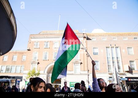 La Palestina libera protesta nel centro di Exeter - giovane donna che sventola la bandiera palestinese contro l'edificio e il cielo blu Foto Stock