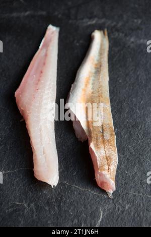Filetti freschi e crudi di una gurnard, Chelidonichthys lucerna, catturati nella Manica. Dorset Inghilterra Regno Unito GB Foto Stock