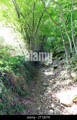 Vista del sentiero della via Francigena in Lunigiana, Italia Foto Stock