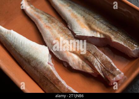 Filetti freschi e crudi di una gurnard, Chelidonichthys lucerna, catturati nella Manica. Dorset Inghilterra Regno Unito GB Foto Stock